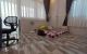 thum-9122749_RZeVoYEvas_1711947777.jpeg
