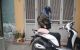thum-m_bYM4BWhPGR_1711961816.png