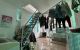 thum-9123491_JBmSGlhbYj_1712221846.jpg