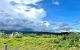thum-9123574_i3ra21kMCy_1712280541.jpg