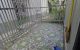 thum-9123608_Dxh823JHgX_1712285398.jpg