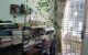 thum-9124036_BX6IW9Dlqs_1712490822.jpg