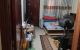 thum-9124723_R7VQrYNEsC_1712758696.jpg