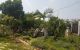 thum-m_nQyLoU9F3C_1713151838.jpg