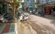 thum-9125915_cwRByM9AbS_1713242160.jpg