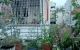 thum-9126332_BEL2qo3xPe_1713365417.jpg