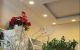 thum-m_roPuL1zcfJ_1713310901.jpg