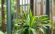 thum-m_Fc0nzgdw1t_1713608163.jpg