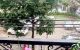 thum-9127113_fduSx8Uasc_1713714989.jpg