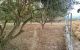 thum-9122745_DnWvcRQGo9_1713927588.jpg