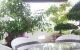 thum-9128322_6fmYcUTOD8_1714093577.jpg