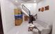 thum-m_ZtTW47SlBC_1714117910.jpg