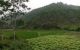 thum-m_qUh6CsROZS_1714124300.jpg
