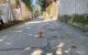thum-9129266_j3bDHhw5Gi_1714635674.jpg