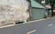 thum-9129287_bPB9SFeVLW_1714638929.jpg