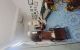 thum-9129302_s8wFnMqYH0_1714642036.jpg