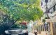 thum-m_UoGF4LDAak_1714607497.jpg