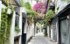 thum-m_v07ZU3gFfe_1714635042.jpeg