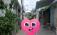 thum-9129767_Jdvk5RwYoI_1714889166.jpeg