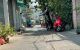 thum-m_TbYc42DF1h_1715005542.jpg