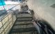 thum-9130079_OqZoyz7u6H_1715052394.jpg