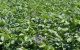 thum-m_50E7VSWhmB_1715082957.jpg
