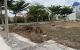thum-m_s8ILpvVE6a_1715139156.jpg