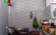 thum-9130506_56kHVYfU1O_1715223225.jpg