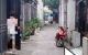 thum-9131076_tPEVxa74JT_1715447626.jpg