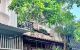 thum-m_vnKH8XENGl_1715447450.jpg