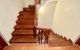 thum-9131250_TmkU9ipzj1_1715564594.jpg