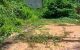 thum-m_0ZCVhdTc8t_1715674294.jpg