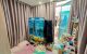 thum-m_HAXptmIT7L_1715674783.jpg