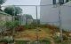 thum-9131773_8GK9zL2RTi_1715738139.jpg