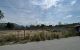 thum-9131815_zQ4yoUltYR_1715743436.jpg