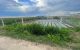 thum-9131944_nP4J2IiEBm_1715773725.jpg