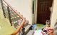 thum-9132576_0Lem2gfuo1_1716049896.jpeg