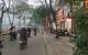 thum-9132684_C5W8v6e2IF_1716155683.jpg