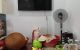 thum-9132805_JcO6L7RCPr_1716191900.jpg