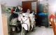 thum-9133145_xNPQ3WO2lU_1716343830.jpg