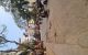 thum-9133329_7o14DUuCiX_1716428953.jpg