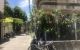 thum-9133698_GJq9187Wd6_1716549841.jpg