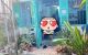 thum-m_6P9mKxQZ_1716568375.jpeg