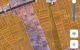thum-9134026_srtTgpIXyH_1716788692.jpeg