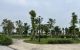thum-m_ZwA57CYW3T_1716905756.jpg