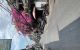 thum-m_zSaGBT7Klq_1717027704.jpg
