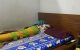 thum-9134778_BKp5xuSV6a_1717122691.jpg