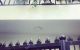 thum-9135017_GUl0QXN5eV_1717227655.jpeg
