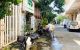 thum-9135032_84Avc2D0bz_1717229560.jpeg