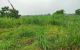 thum-9135060_Ji2d9ZUFjP_1717246130.jpg